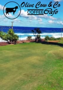 WhatsApp Image 2025-11-28 at 11.28.00